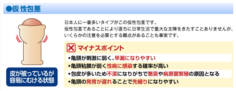仮性包茎